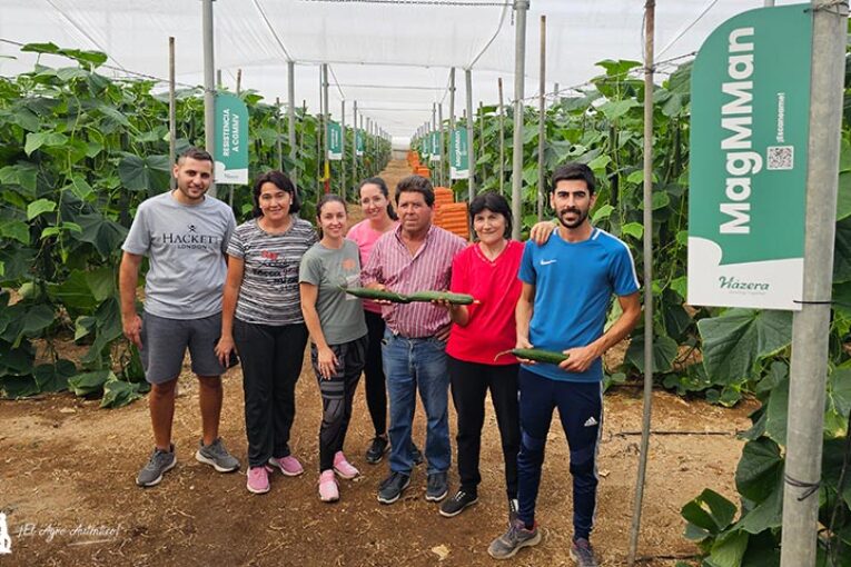 Tras ZiMMan llega ahora el nuevo pepino MagMMan resistente a CGMMV