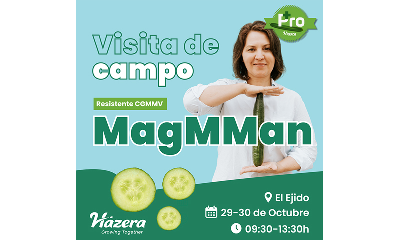 Jornada de pepino MagMMan de Hazera