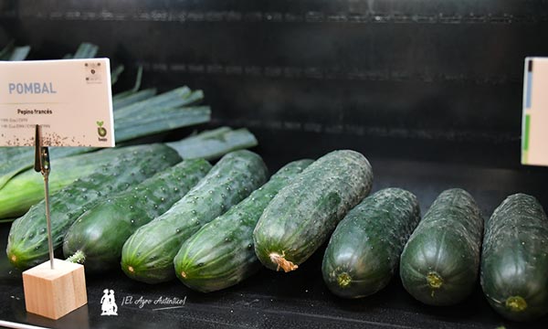 Las ensaladas de Bejo en Fruit Attraction llevan cebolla, lechuga, pepino, zanahoria, col y apio 3