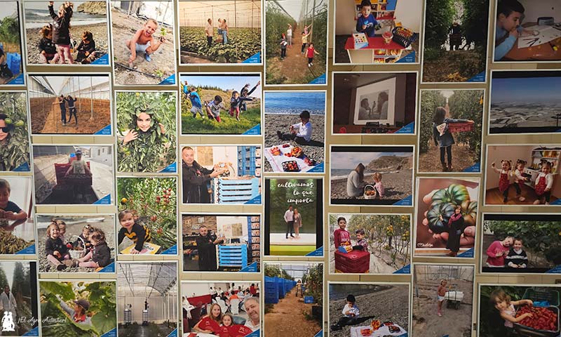 Cooperativa La Palma a través de fotografías del día a día de sus socios / agroautentico.com