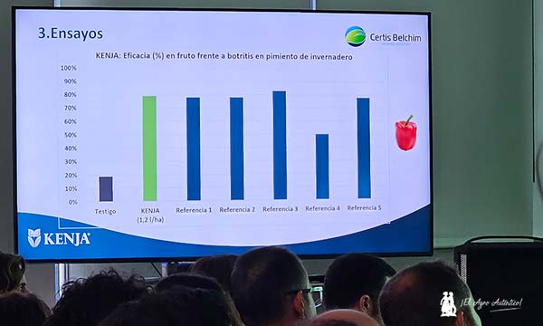 Ensayos de Kenja en pimiento / agroautentico.com