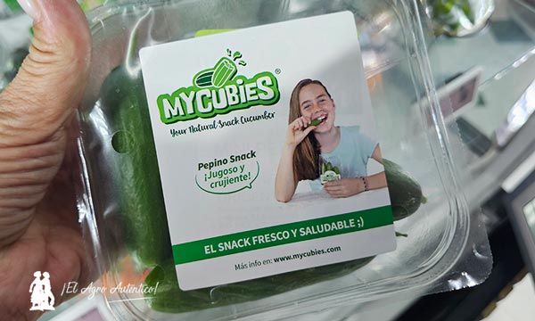 Mycubies snacks sabrosos y sostenibles de Rijk Zwaan