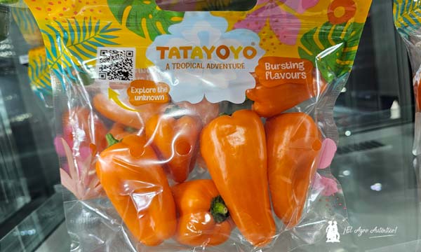 Tatayoyo pimiento snack de Rijk Zwaan en Fruit Attraction
