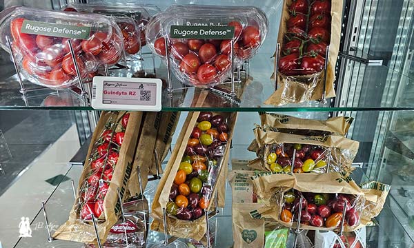 Tomates con resistencia a rugoso de Rijk Zwaan en Fruit Attraction