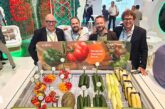 Syngenta celebra 25 años de innovación agrícola en Fruit Attraction