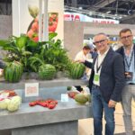 The Melonution es nuestro movimiento estratégico para reforzar la industria de melón y sandía a través de la innovación-agroautentico