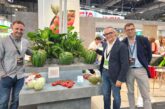 'The Melonution' en melón y sandía y 'BioSolutions' en protección vegetal para responder a los nuevos desafíos