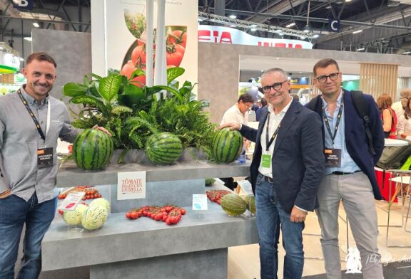 'The Melonution' en melón y sandía y 'BioSolutions' en protección vegetal para responder a los nuevos desafíos