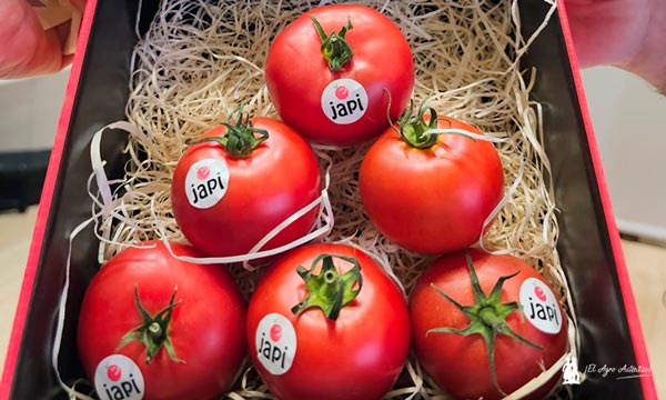 Sakata presenta Japi, el tomate que sabe hacerte feliz 2