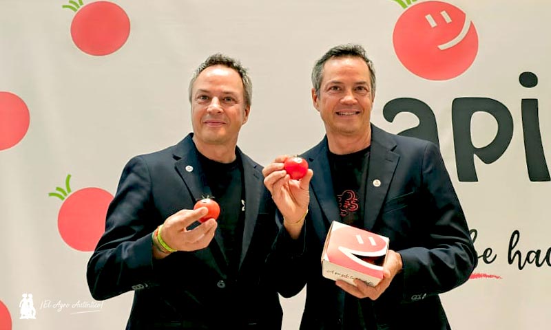 Sakata presenta Japi, el tomate que sabe hacerte feliz