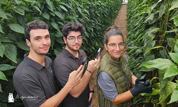 Gema Pérez con Carlos García y Reyes Pérez del equipo de marketing de Vellsam / agroautentico.com