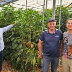 Xtrem Red de Vellsam / agroautentico.com