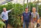 Vellsam entra en el biocontrol con Xtrem Red para control de araña roja