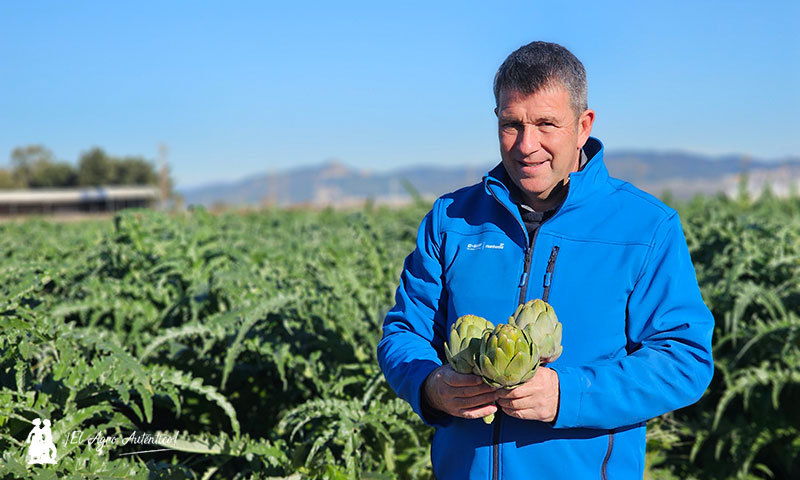 Miquel Torras, persona encargada de mostrarnos Green Queen en campo / agroautentico.com
