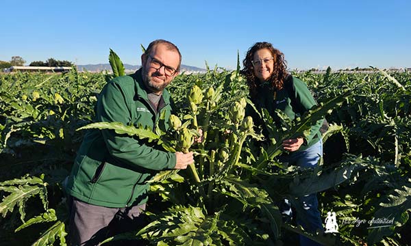 José Antonio Arcos y Ana Rubio con la alcachofa Green Queen en Barcelona / agroautentico.com