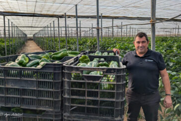 Una estrategia eficaz frente a Parvispinus con Botanigard como piedra angular