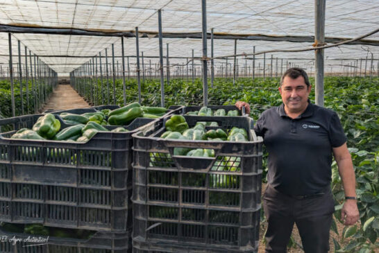 Una estrategia eficaz frente a Parvispinus con Botanigard como piedra angular