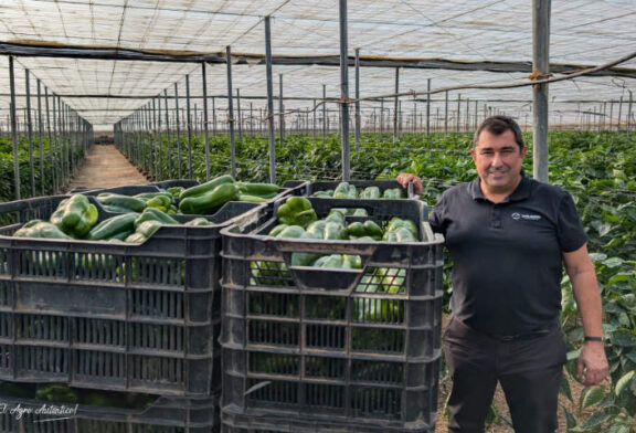 Una estrategia eficaz frente a Parvispinus con Botanigard como piedra angular