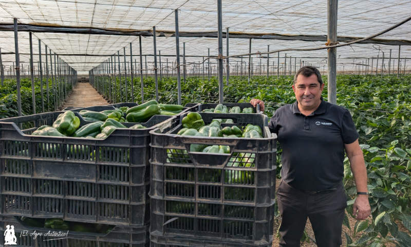 Antonio Altea, Certis Belchim / agroautentico.com