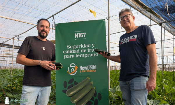 Antonio Martínez y Manuel Martínez con el segundo de los calabacinos resistentes: 167 / agroautentico.com