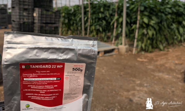 Botanigard de Certis Belchim / agroautentico.com