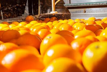 Citrosol refuerza su estrategia de expansión internacional con su filial en Uruguay