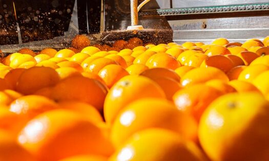 Citrosol refuerza su estrategia de expansión internacional con su filial en Uruguay