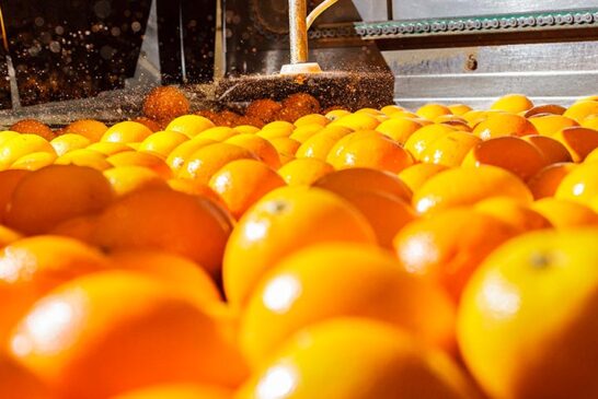 Citrosol refuerza su estrategia de expansión internacional con su filial en Uruguay