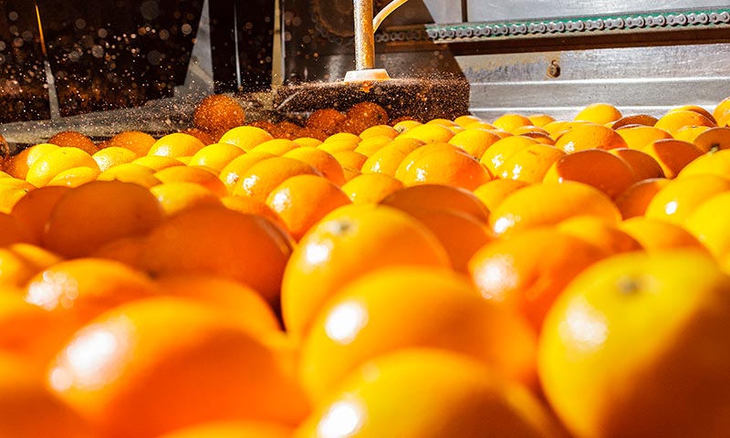 Citrosol refuerza su estrategia de expansión internacional con su filial en Uruguay