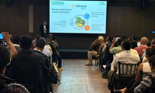 Citrosol comparte avances en la conservación de aguacate en el VII Congreso Latinoamericano de la Palta en Perú / agroautentico.com