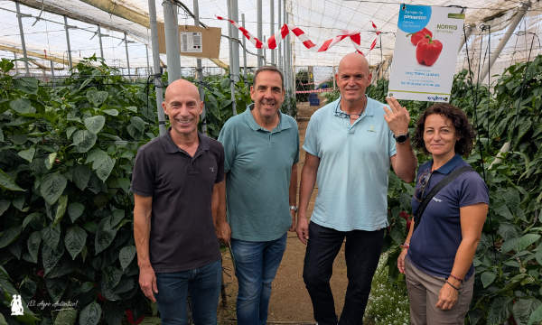 Delegados de Syngenta con técnicos de SAMA y SUAMU / agroautentico.com