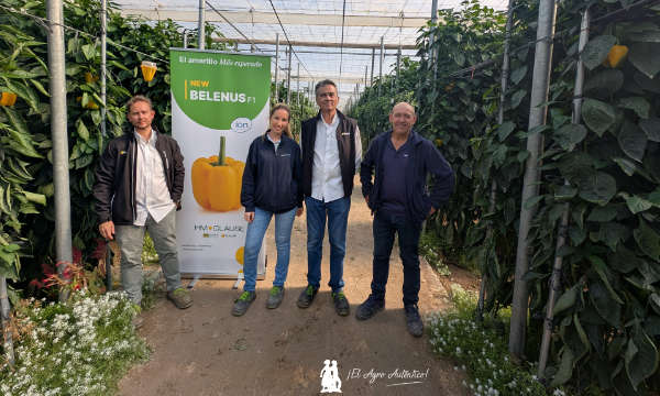 Finca de pimiento Belenus en Balerma / agroautentico.com