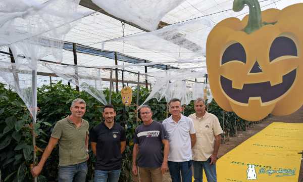 Halloween entre pimientos en Almería / agroautentico.com