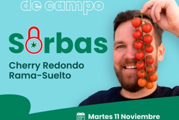 Día 11 de noviembre. Jornada de tomate de Hazera