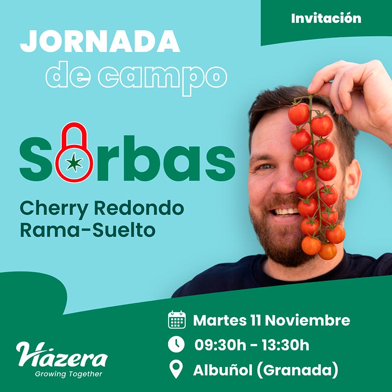 Día 11 de noviembre. Jornada de tomate de Hazera