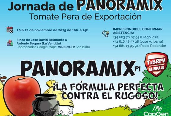 Días 20 y 21 de noviembre. Jornadas de Panoramix de CapGen