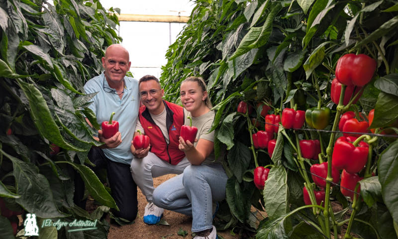 Juan Diego Martínez con técnicos de Montivel (Celia Callejón y Antonio Molina) en un líneo de Kunai / agroautentico.com