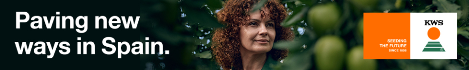 TOP BANNER KWS NOVIEMBRE