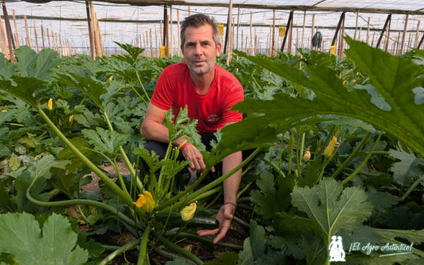 Miguel Ángel Reyes, especialista en calabacín / agroautentico.com