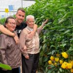 Pimiento Cintra es la novedad en tardío de Syngenta en california amarillo 50