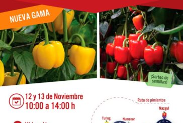 Días 12 y 13 de noviembre. Ruta por los californias de Vilmorin