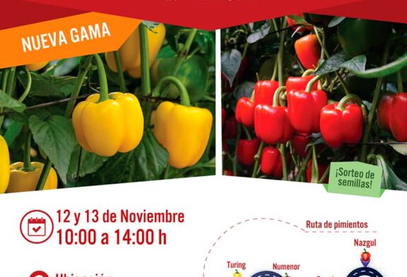 Días 12 y 13 de noviembre. Ruta por los californias de Vilmorin