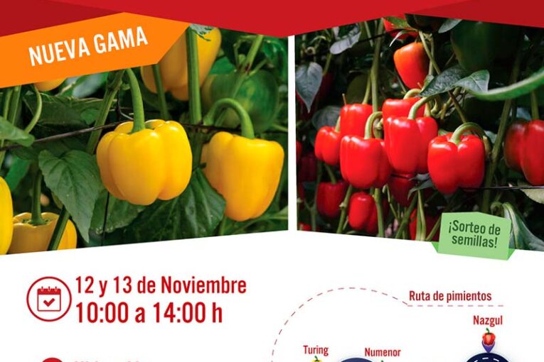 Días 12 y 13 de noviembre. Ruta por los californias de Vilmorin