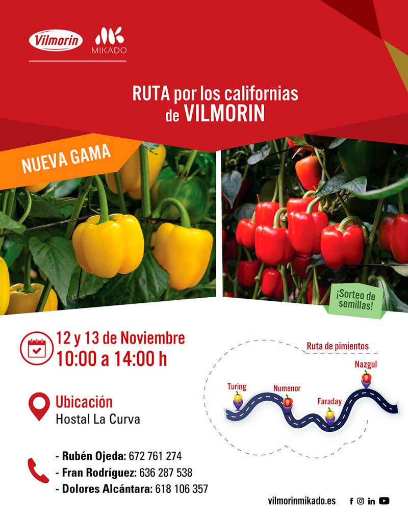 Días 12 y 13 de noviembre. Ruta por los californias de Vilmorin