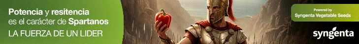 HEADER SYNGENTA 2025