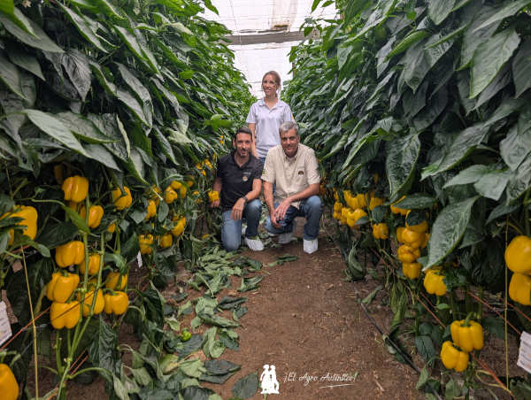 Tania López con David González y Ricardo López Carletto / agroautentico.com