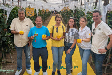 El nuevo amarillo Belenus en el Halloween de HM.Clause