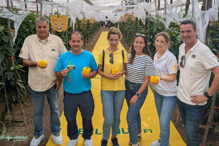 El nuevo amarillo Belenus en el Halloween de HM.Clause