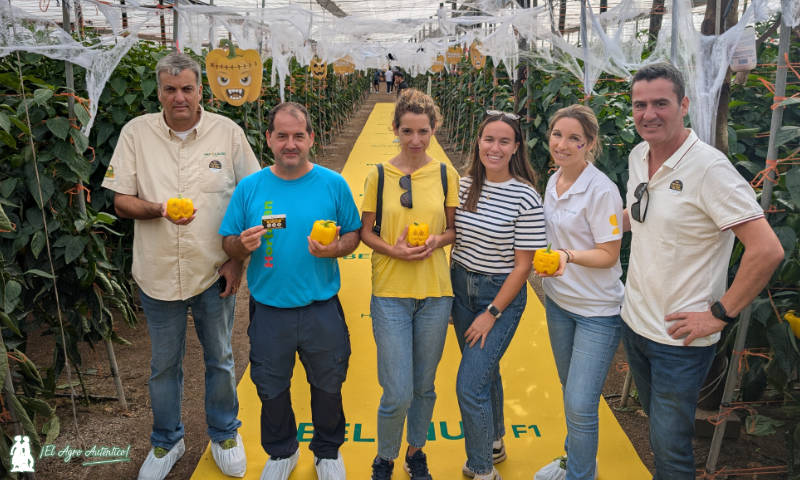 Jorge, Virginia y Andrea, técnicos de Camposol (Unica Group) con Tania, Ricardo y Paco, de HM.Clause / agroautentico.com