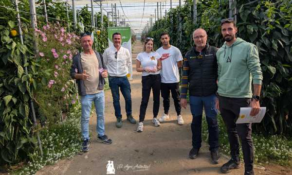 Técnicos y agricultores de Cohorsan en las jornadas de pimientos de HM.Clause / agroautentico.com
